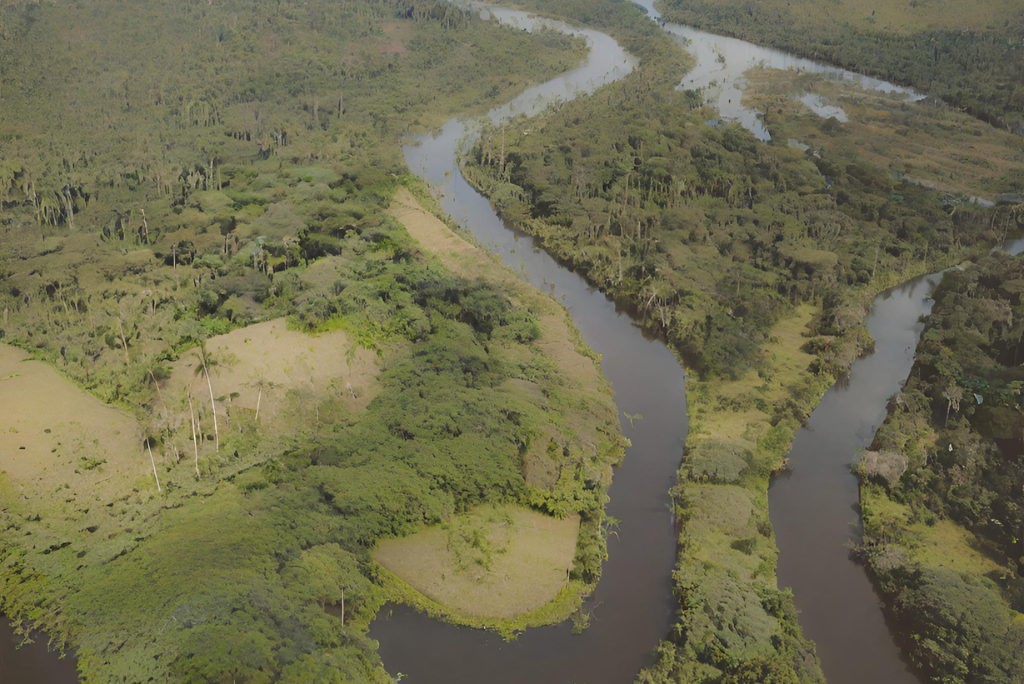 La mitad de la Amazonía puede desaparecer en el 2050, advierte un estudio