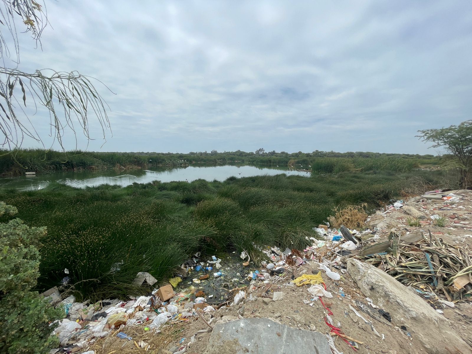 ANA identifica ocho puntos críticos de contaminación en el humedal Santa Julia