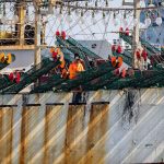 Informe internacional de Environmental Justice Foundation revela abusos contra los derechos humanos y daños ambientales en la flota china de calamar cerca de las 200 millas peruanas